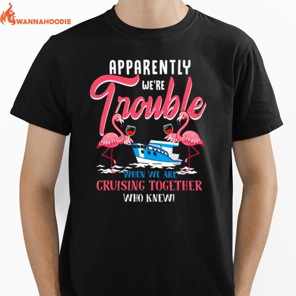 Flamingo Apparently We'Re Trouble When We Are Cruising Together Who Knew Unisex T-Shirt for Men Women